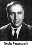 Đorđe Radenković