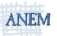 ANEM: Eksplozivna atmosfera zahteva efikasniji odgovor institucija ANEM: Eksplozivna atmosfera zahteva efikasniji odgovor institucija