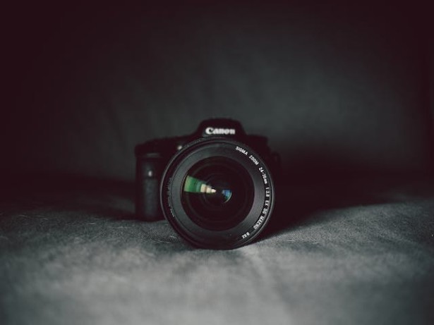 Foto: pexels.com/pixabay