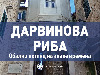 Нова књига Николе Маловића - „Дарвинова риба“ Нова књига Николе Маловића - „Дарвинова риба“