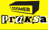 Тромесечна пракса на порталу ZOOMER Тромесечна пракса на порталу ZOOMER